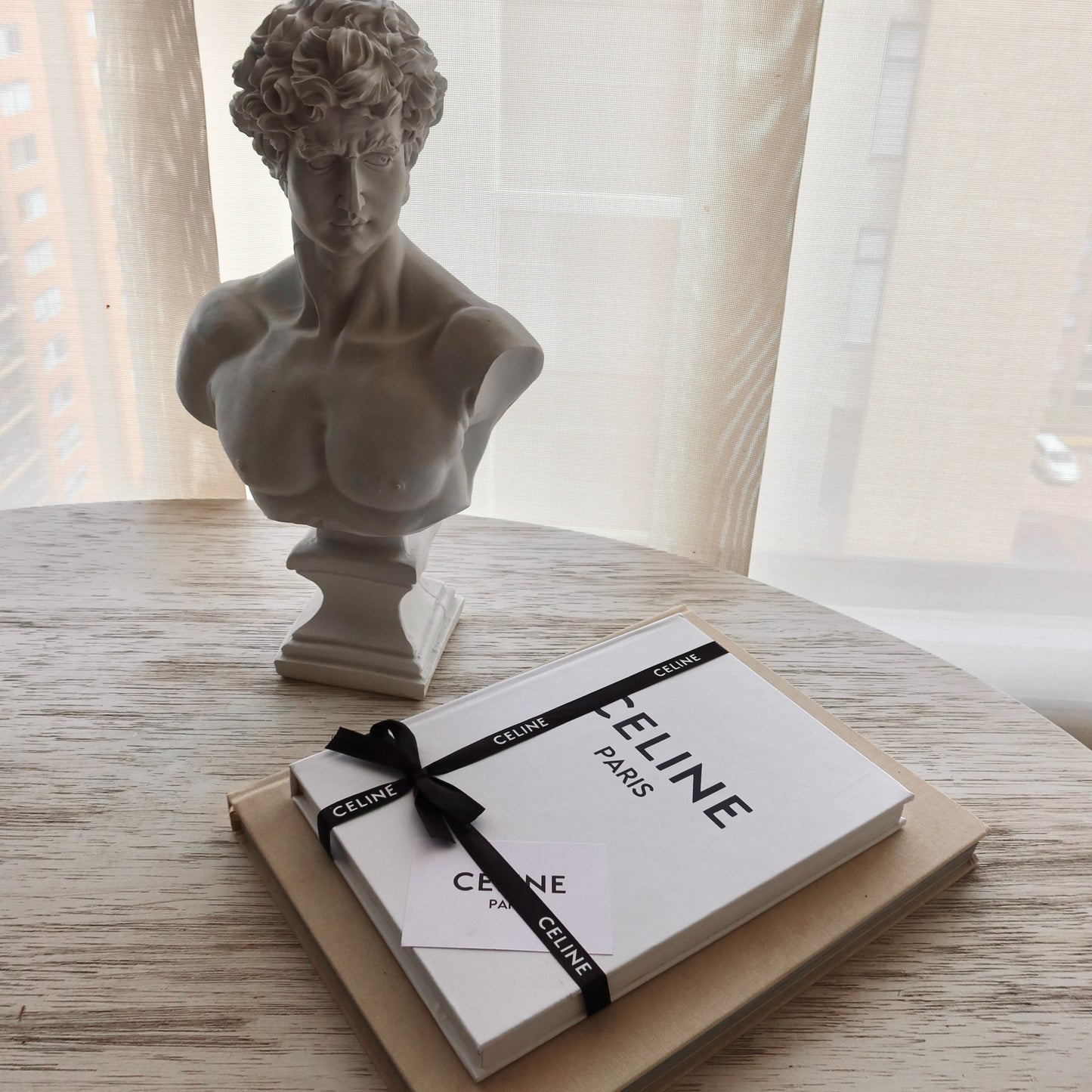 Libro Decorativo Celine Paris