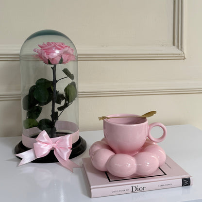 Libro Colección Dior