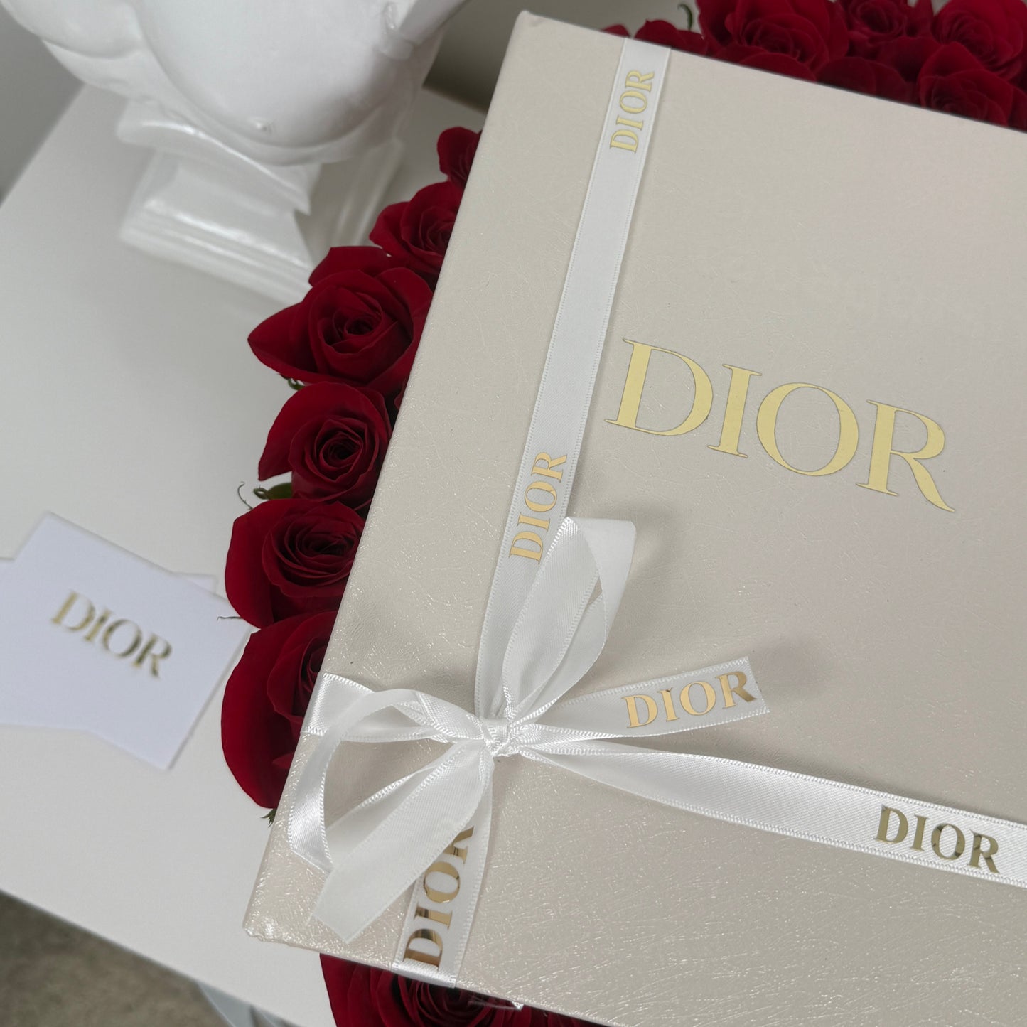 Libro Decorativo Dior