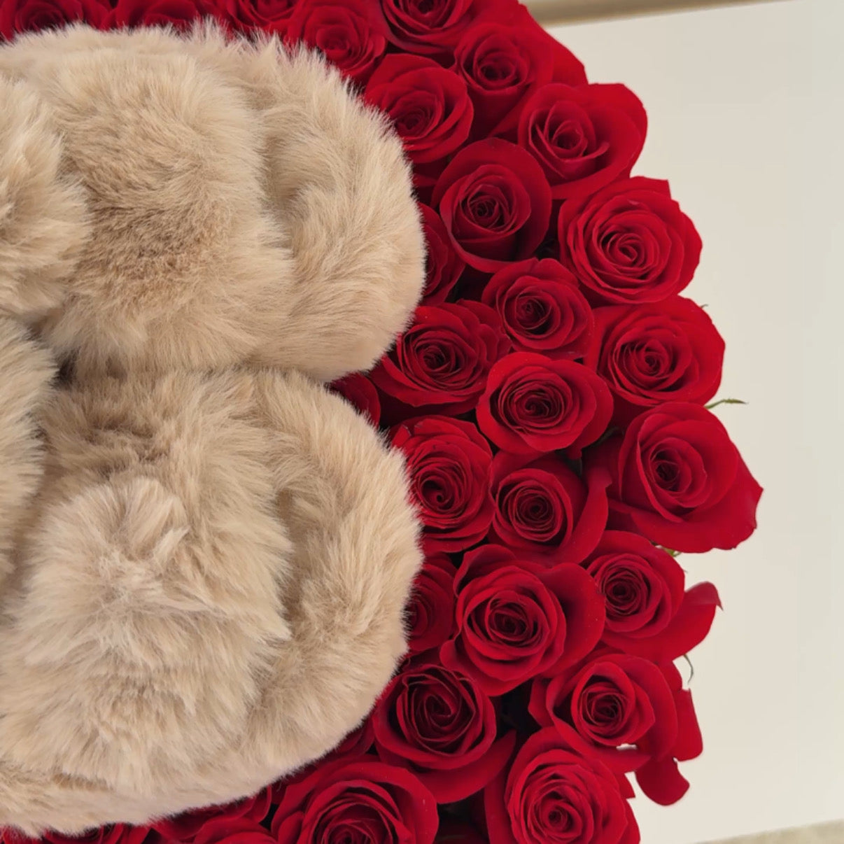 Pantuflas Caffè Mattina